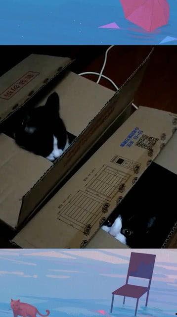 我们在躲谁？,我们为何要躲藏