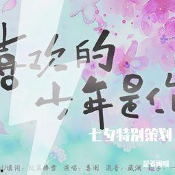 喜欢的少年是你